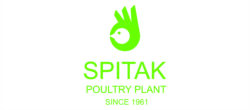 Logo 7